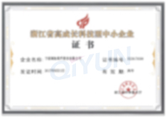 浙江省高成长科技型中小企业证书